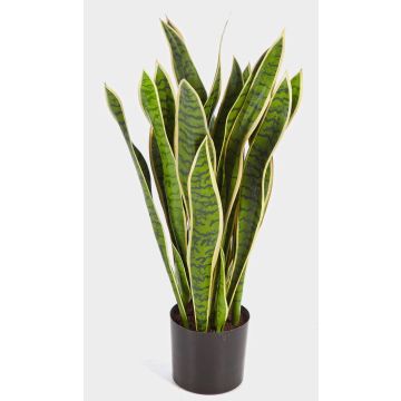 Konstgjord Sansevieria BEYZA, grön-gul, 80cm Konstgjord Sansevieria BEYZA, grön-gul, 80cm
