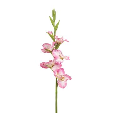 Konstgjord gladiolus KIVANA, rosa-vit, 90cm Konstgjord gladiolus KIVANA, rosa-vit, 90cm