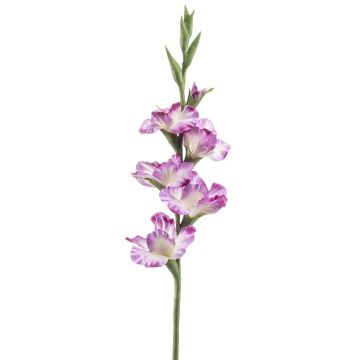 Konstgjord gladiolus KIVANA, lila-vit, 90cm Konstgjord gladiolus KIVANA, lila-vit, 90cm