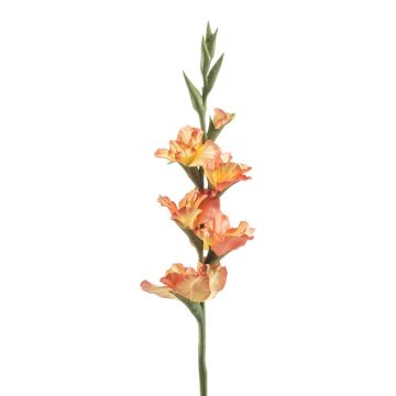 Konstgjord gladiolus KIVANA, persika, 90cm Konstgjord gladiolus KIVANA, persika, 90cm