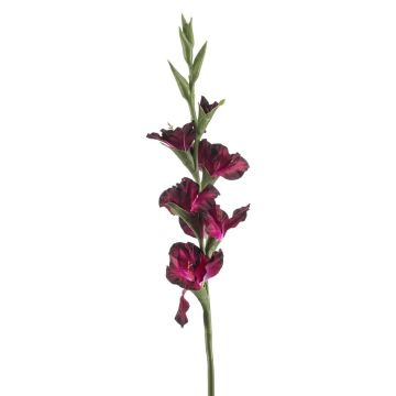 Konstgjord gladiolus KIVANA, mörkvioletta, 90cm Konstgjord gladiolus KIVANA, mörkvioletta, 90cm