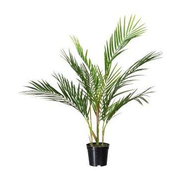 Dekorativ palm Areca YONNE, 70cm Dekorativ palm Areca YONNE, 70cm