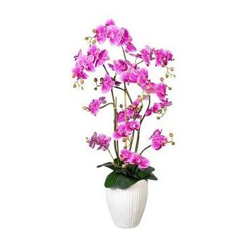 Dekorativ blomma Phalaenopsis-orkidé VELTORI, keramikvas, lila-cerise, 110cm