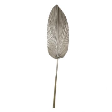 Dekorativt Washingtonia palmblad DAIANE, torkade, champagne, 100cm