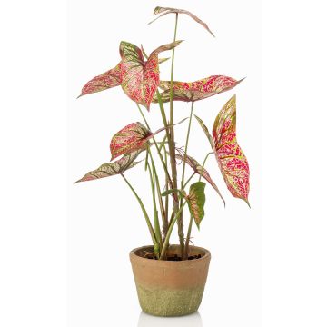 Konstgjord växt Syngonium YOMREL i terrakottakruka, röd-grön, 60cm Konstgjord växt Syngonium YOMREL i terrakottakruka, röd-grön, 60cm