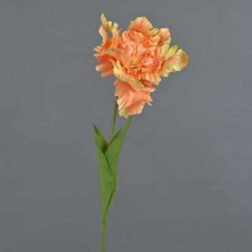 Konstgjord blomma, papegojatulpan ALISCHA, persikagul, 70cm, Ø19cm