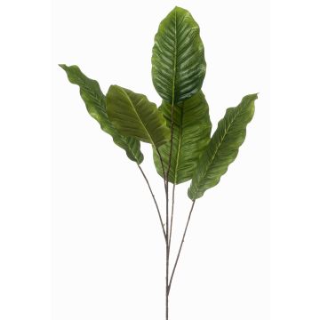 Dekorativ kvist Dieffenbachia ZERVAN, grön, 110cm