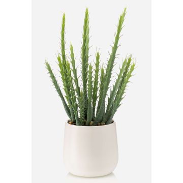 Konstgjord kaktus Euphorbia sipolisii NORSHO i dekorativ kruka, grön, 28cm Konstgjord kaktus Euphorbia sipolisii NORSHO i dekorativ kruka, grön, 28cm