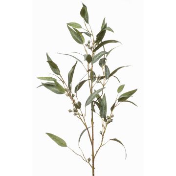 Konstgjord eukalyptusgren JURKA med frukter, grågrön, 115cm Konstgjord eukalyptusgren JURKA med frukter, grågrön, 115cm