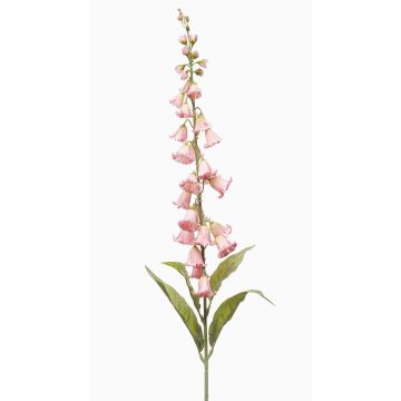 Konstgjord blomma, klockblomma NEVLAR, ljusrosa, 95cm, Ø10cm Konstgjord blomma, klockblomma NEVLAR, ljusrosa, 95cm, Ø10cm