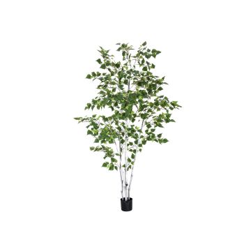 Konstgjord vitbjörk WAYNE, konstgjorda stammar, grön, 210cm Konstgjord vitbjörk WAYNE, konstgjorda stammar, grön, 210cm