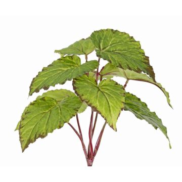 Konstgjord bladbegonia KATRICE på stödpinne, svårantändlig, grön, 25cm Konstgjord bladbegonia KATRICE på stödpinne, svårantändlig, grön, 25cm