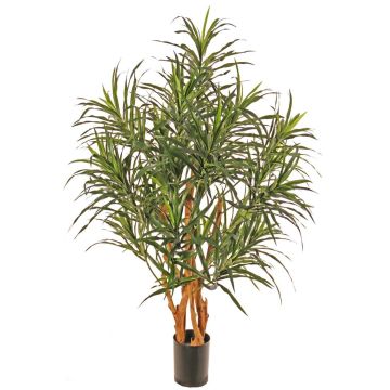 Konstträd Dracaena reflexa anita SENFYN, naturstammar, grönt, 95cm Konstträd Dracaena reflexa anita SENFYN, naturstammar, grönt, 95cm