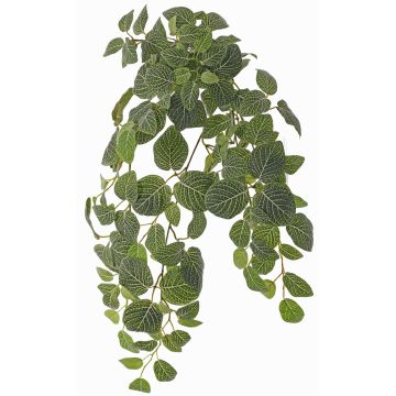 Konstgjord växt Fittonia LONFYN, stödpinne, hängande, grön, 75cm
