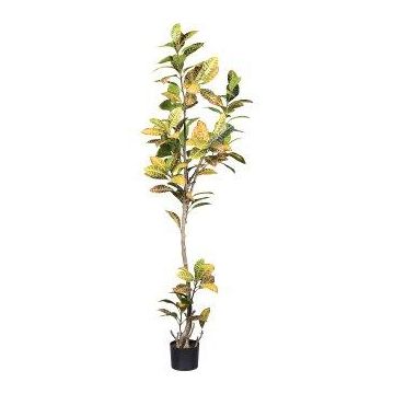 Konstgjord croton ERENDY, konstgjord stam, grön-gul, 200cm Konstgjord croton ERENDY, konstgjord stam, grön-gul, 200cm