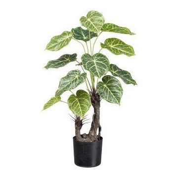Dekorativ växt Anthurie TROHEL, konststam, grön-vit, 70cm Dekorativ växt Anthurie TROHEL, konststam, grön-vit, 70cm
