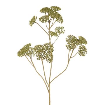 Dekorativt rödblomsterkvist ORTEGA, grönt, 75cm, Ø7-13cm Dekorativt rödblomsterkvist ORTEGA, grönt, 75cm, Ø7-13cm