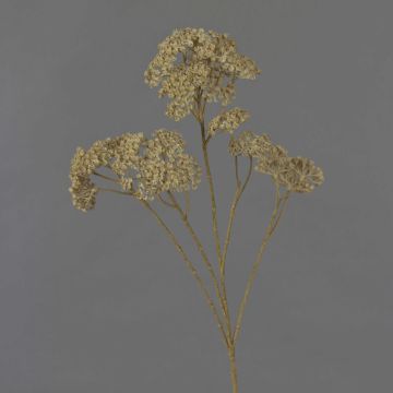 Dekorativ rödblomsterkvist ORTEGA, beige, 75cm, Ø7-13cm Dekorativ rödblomsterkvist ORTEGA, beige, 75cm, Ø7-13cm