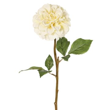 Konstblomma, dahlia BREDANA, krämfärgad, 60cm, Ø11cm