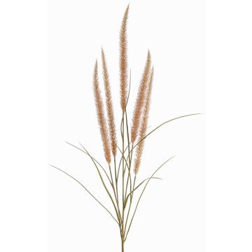 Dekorativ kvist av fjäderborstgräs AREVALO med ax, beige, 135cm Dekorativ kvist av fjäderborstgräs AREVALO med ax, beige, 135cm