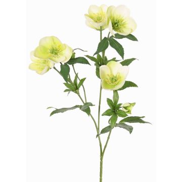 Konstgjord julroskvist ANYALA, grön-vit, 60cm, Ø5-6cm
