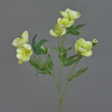 Konstgjord julroskvist ANYALA, grön-vit, 60cm, Ø5-6cm Konstgjord julroskvist ANYALA, grön-vit, 60cm, Ø5-6cm