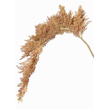 Konstgjord sorghumkvist BOTTO med ax, beige-röd, 95cm