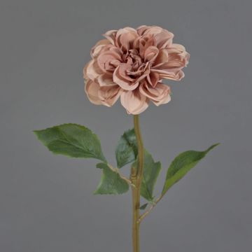 Konstblomma, dahlia BREDANA, gammaldagsrosa, antikrosa, 60cm, Ø11cm