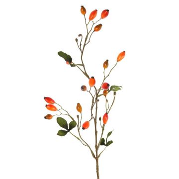 Dekorativ vildrosgren ZERBST med nypon, orange-röd, 80cm Dekorativ vildrosgren ZERBST med nypon, orange-röd, 80cm