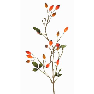 Dekorativ vildrosgren ZERBST med nypon, orange-röd, 80cm