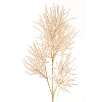 Dekorativ gren korall BILBAS, krämfärgad, 70cm