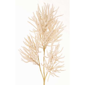 Dekorativ gren korall BILBAS, krämfärgad, 70cm