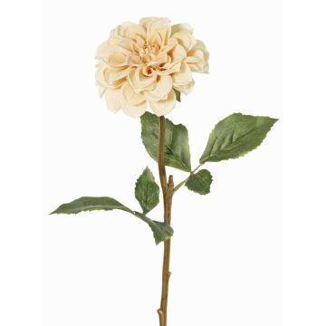 Konstgjord dahlia BREDANA, beige, 60cm, Ø11cm