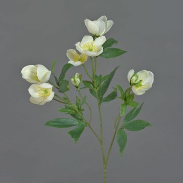 Konstgjord julroskvist ANYALA, krämvit, 60cm, Ø5-6cm Konstgjord julroskvist ANYALA, krämvit, 60cm, Ø5-6cm