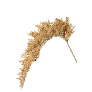 Konstgjord sorghumkvist BOTTO med ax, beige, 95cm Konstgjord sorghumkvist BOTTO med ax, beige, 95cm