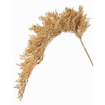 Konstgjord sorghumkvist BOTTO med ax, beige, 95cm