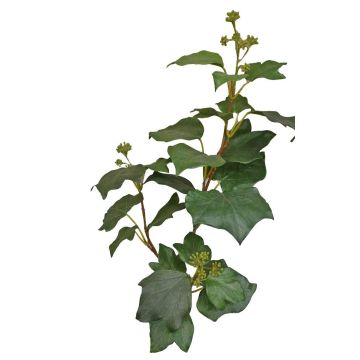 Konstgjord murgröna TOYAH med frukter, grön, 65cm Konstgjord murgröna TOYAH med frukter, grön, 65cm