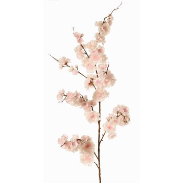 Dekorativ gren av japansk prydnadskörsbär ZORYA med blommor, rosa-krämfärgad, 125cm Dekorativ gren av japansk prydnadskörsbär ZORYA med blommor, rosa-krämfärgad, 125cm