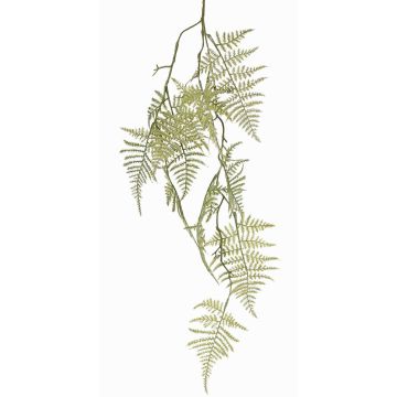 Dekorativ Asparagus plumosus-gren UHERA, grön, 90cm
