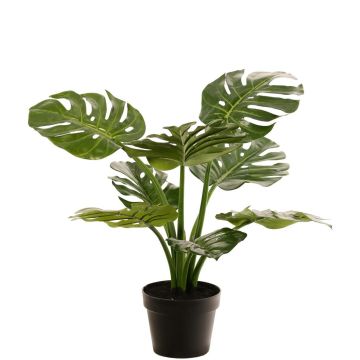 Philodendron Monstera Deliciosa konstväxt QUENTEA, dekorativ kruka, 60cm