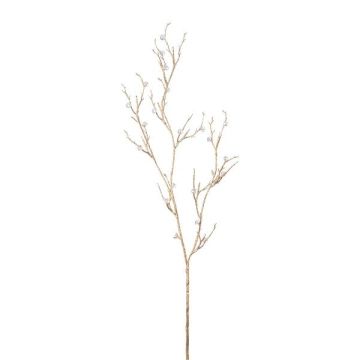 Dekorativ kvist med fruktliknande bär FRILOX, champagnefärgad, 85cm Dekorativ kvist med fruktliknande bär FRILOX, champagnefärgad, 85cm