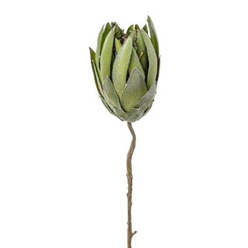 Konstblomma nålkudde Protea LINDAR, grön, 70cm Konstblomma nålkudde Protea LINDAR, grön, 70cm