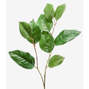 Dekorativ gren från äppelträd KONSTANTIN, grön, 75cm