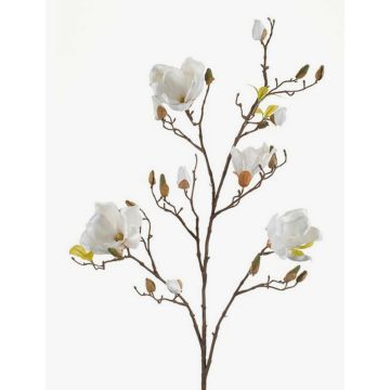 Stor konstgjord magnolia LILO, krämfärgad, 110cm, Ø5-9cm Stor konstgjord magnolia LILO, krämfärgad, 110cm, Ø5-9cm