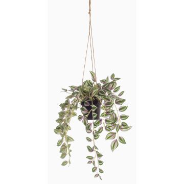 Konstgjord Tradescantia Zebrina hängande blomsterkruka SPROUT i dekorativ kruka, grön, 40cm Konstgjord Tradescantia Zebrina hängande blomsterkruka SPROUT i dekorativ kruka, grön, 40cm