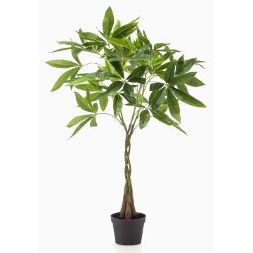 Konstgjord pachira-träd ALEC, konstgjorda stammar, 90cm