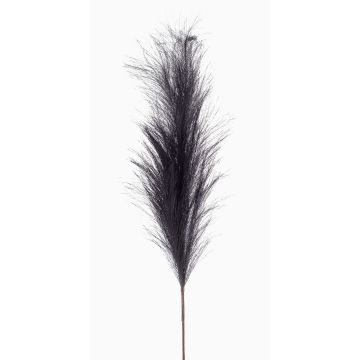 Dekorativ gren med pampasgräs NYX, mörkblå, 100cm