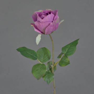 Konstgjord blomma ros POPI, violettgrön, 55cm, Ø7cm Konstgjord blomma ros POPI, violettgrön, 55cm, Ø7cm