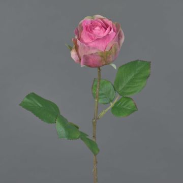Konstgjord ros POPI, cerise-grön, 55cm, Ø7cm Konstgjord ros POPI, cerise-grön, 55cm, Ø7cm