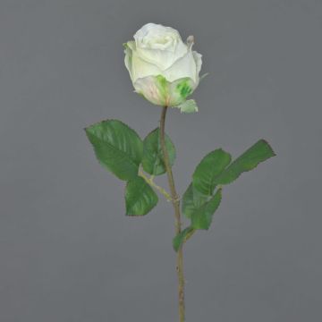 Konstgjord blomma Rose POPI, vit-grön, 55cm, Ø7cm Konstgjord blomma Rose POPI, vit-grön, 55cm, Ø7cm